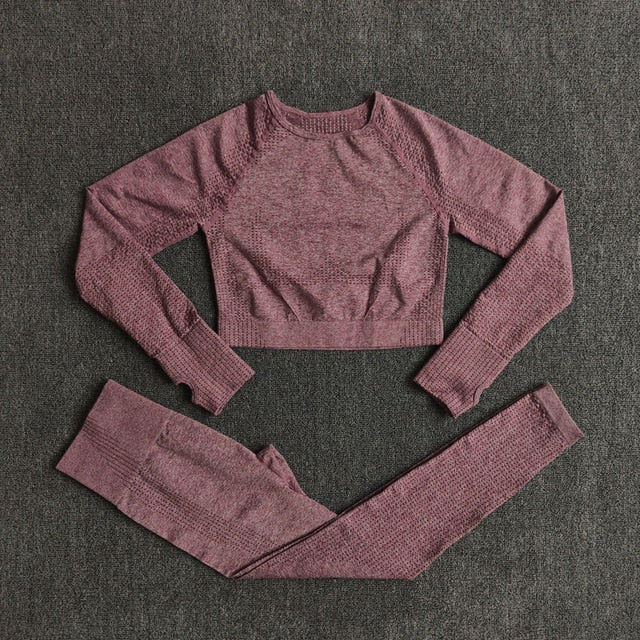 Women Seamless Yoga Set Fitness