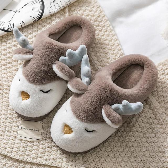 Women Slippers Winter Warm House