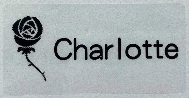 Name Transparent Tag Sticker Customize