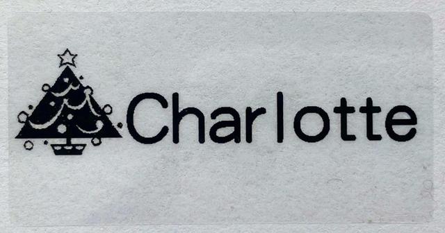 Name Transparent Tag Sticker Customize