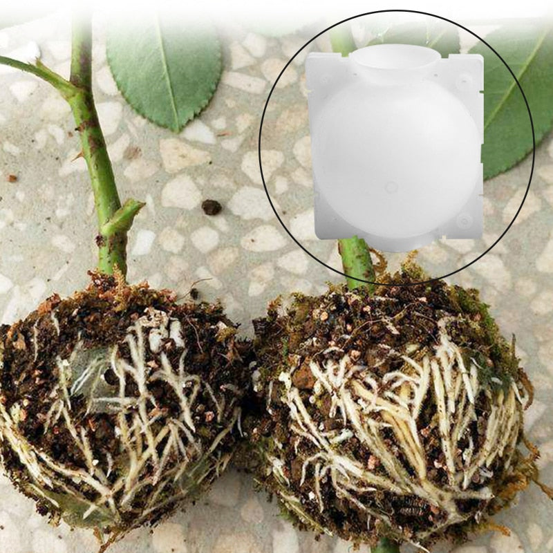 Ball Grafting Rooting Growing Box Breeding Case Plant