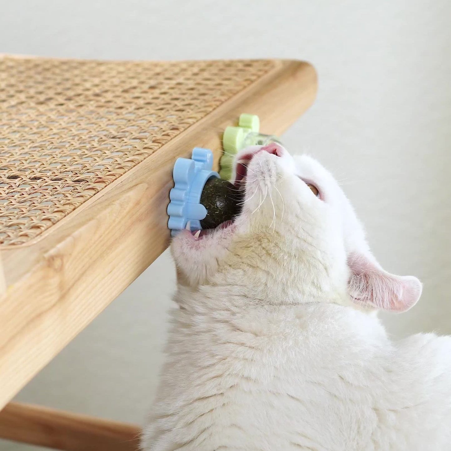 Healthy Cat Catnip Toys Ball