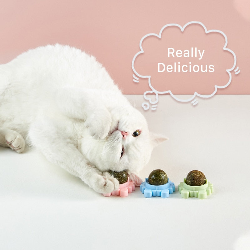 Healthy Cat Catnip Toys Ball