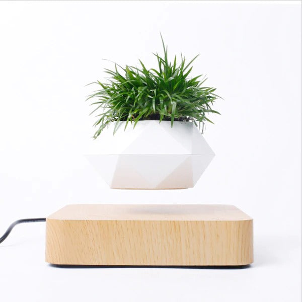 Floating Pot Potted Plant