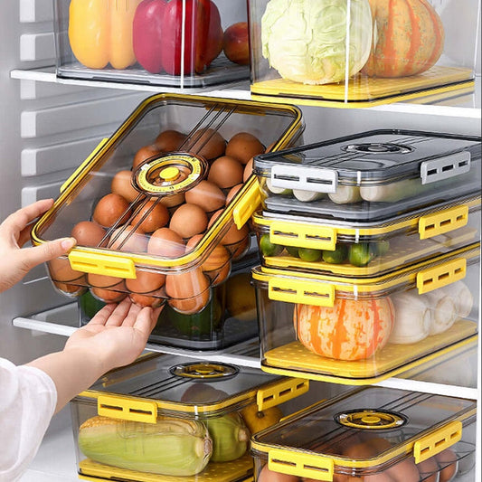 Kitchen Storage Food organizer Container