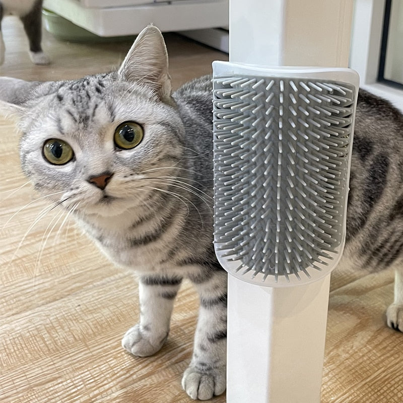 Massage Cat Comb Brush Rubs Pet Grooming