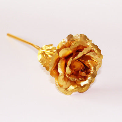 Day Creative Gift 24K Foil Plated Rose Gold