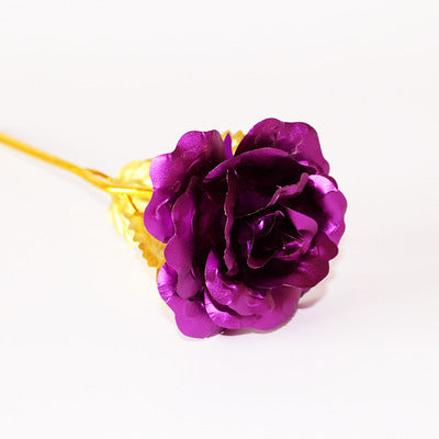 Day Creative Gift 24K Foil Plated Rose Gold