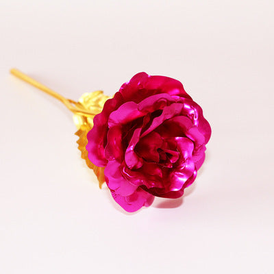 Day Creative Gift 24K Foil Plated Rose Gold
