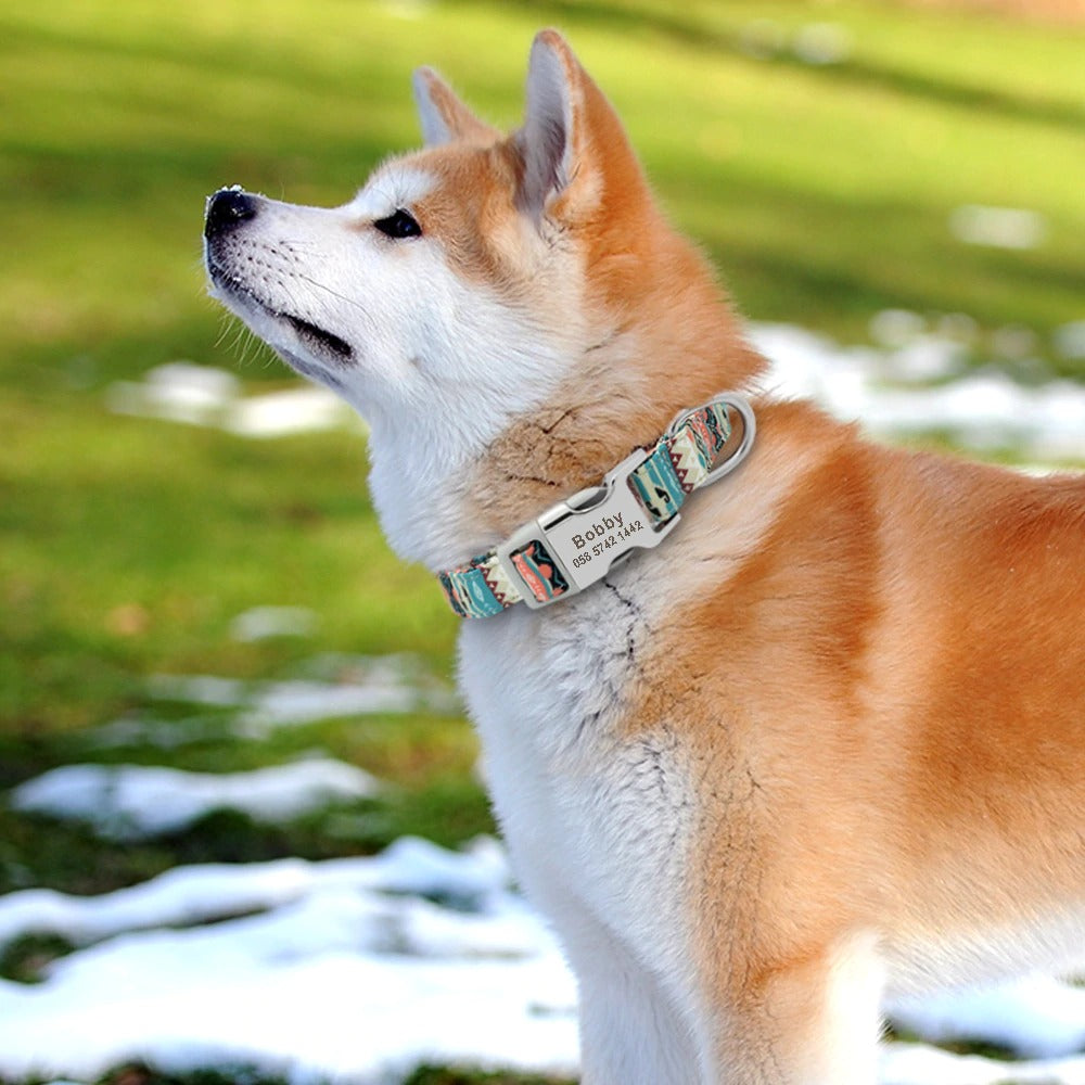 Customized Printed Pet Collar Nylon Dog Collar