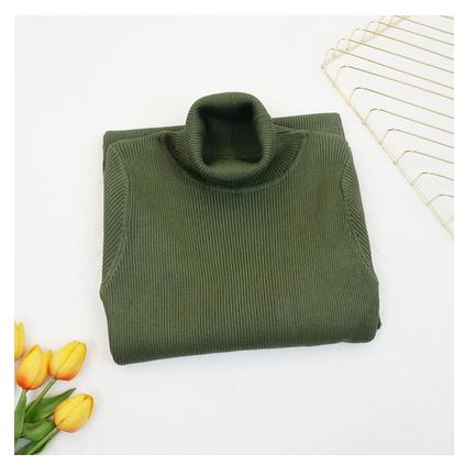 Winter Women Knitted Dress Turtleneck