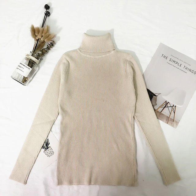 Womens Sweaters  Winter Tops Turtleneck