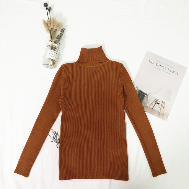 Womens Sweaters  Winter Tops Turtleneck
