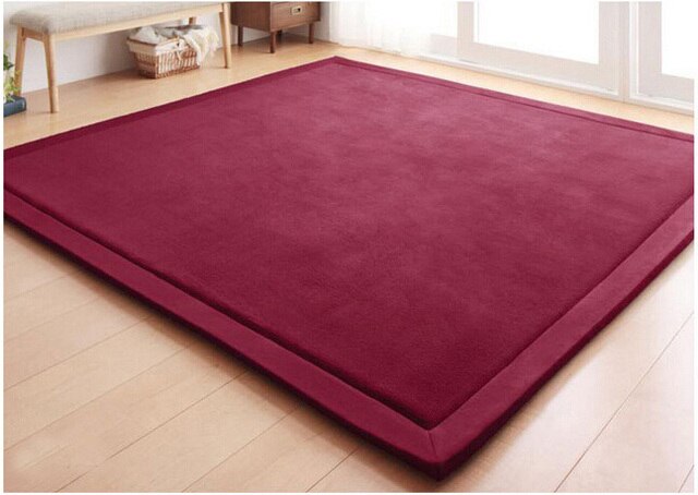 Coral Fleece Blanket Carpet