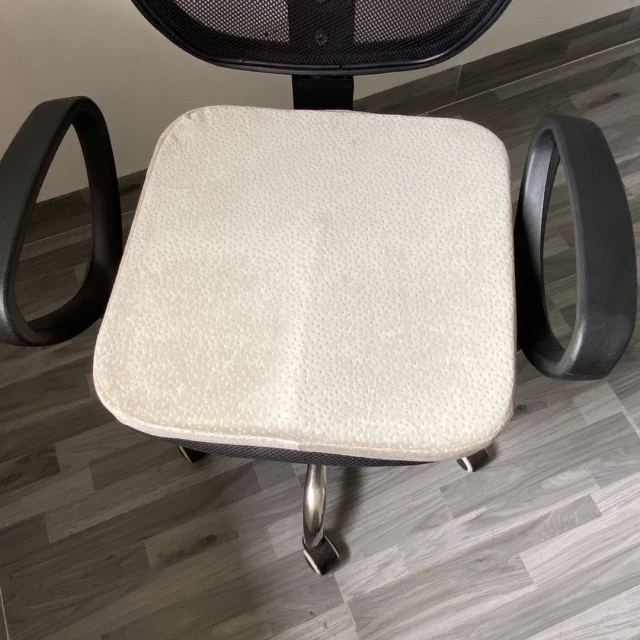 Chair cushion Seat Pad Sitting Pillow