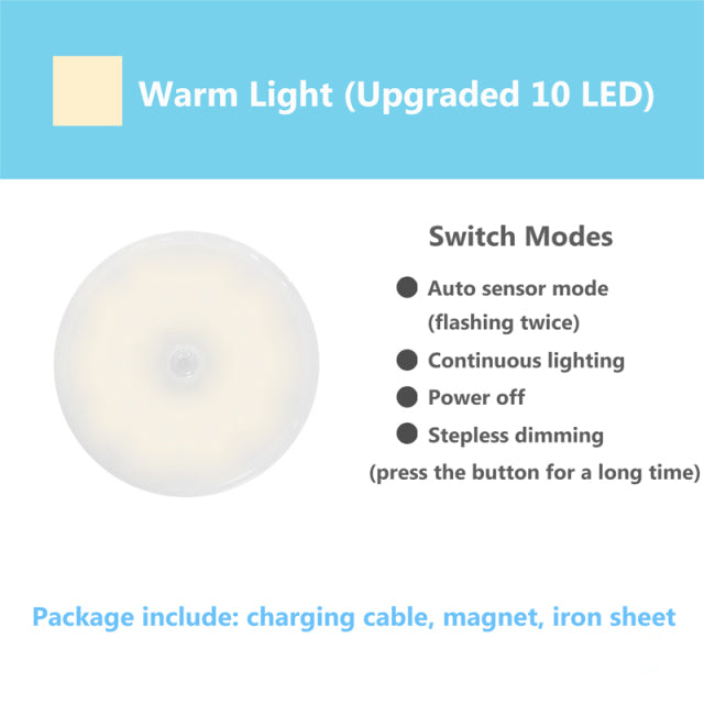 Motion Sensor LED Light