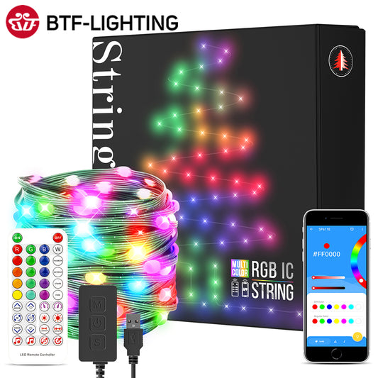 Light String BT Music APP RGBIC Lighting