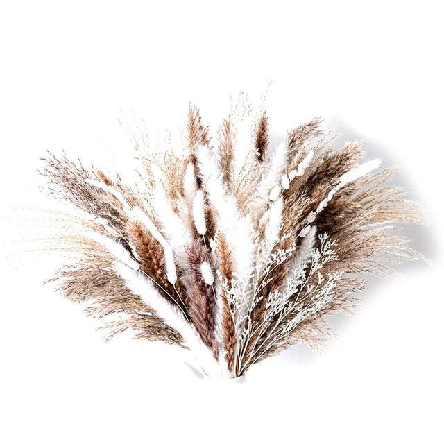 Natural Dried Pampa Grass Bouquet