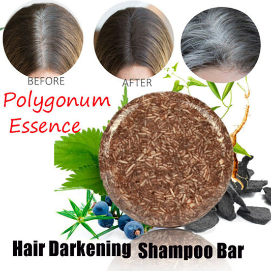 Polygonum  Hair Darkening Shampoo Bar